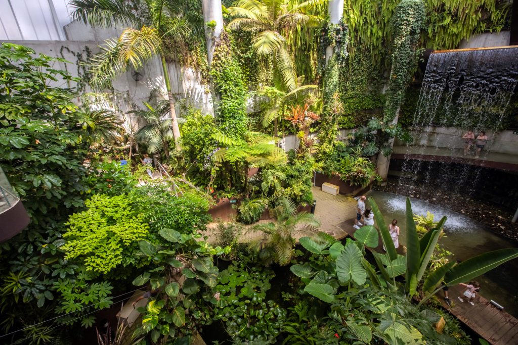 El Parque Botánico-Orquidario de Estepona alcanza la mayor cifra de visitas desde su apertura con más de 54.000 entradas en un año 